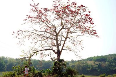 Đề thi Tiếng Anh 3